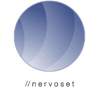 Nervoset logo - Similar company to Botstack Ai