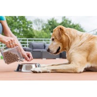 Dog Food logo - Similar company to Petxtras