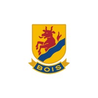 Mariestad BoIS Hockey logo - Similar company to Nelmo Ab