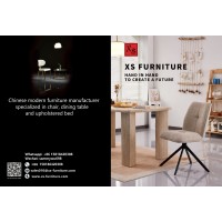 Concise Home Furniture