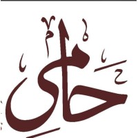 HAAMI NUST logo - Similar company to Orientation Of Nust