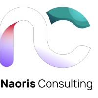 Naoris Consulting logo - Similar company to Naoris Protocol