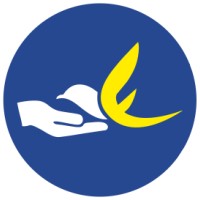 Stockfirst India logo - Similar company to Assetbot Market