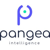 Pangea Intelligence logo - Similar company to Zenprivata