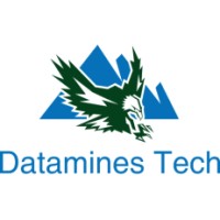 dataminestech  systems logo - Similar company to Datamine.Gr