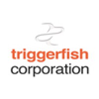 Triggerfish Corporation logo - Similar company to Applied Innovations