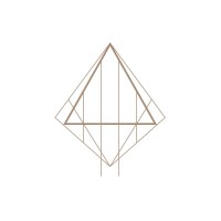 vaders.dye logo - Similar company to Lemuta