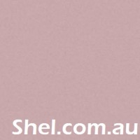 SHEL logo - Similar company to The Breadwinner