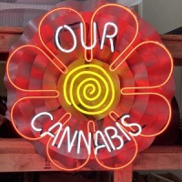 Our Cannabis
