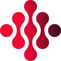 Solmut México Oficial logo - Similar company to Solmut México