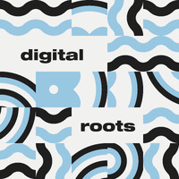 Digital Roots logo - Similar company to Ecommscaleup.Com