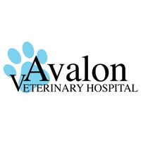 Avalon Veterinary Hospital