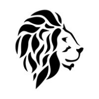 Raidu Inc logo - Similar company to Devlexus