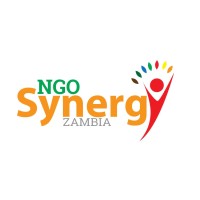 NGO Synergy Zambia logo - Similar company to Opelo Capital
