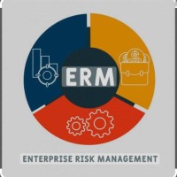 Africa Enterprise Risk Management Alliance (AERMA) logo - Similar company to Capabilityx