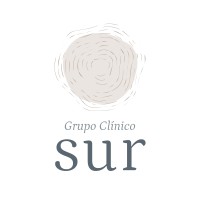 Grupo Clínico Sur logo - Similar company to Kids Up Chile