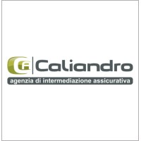 Caliandro Assicurazioni - Agenzia di Intermediazione Assicurativa logo - Similar company to Iospedisco.It