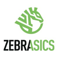 Zebrasics Official logo - Similar company to Pickaxe
