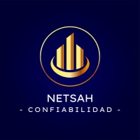 NETSAH S.A.C. logo - Similar company to Seguros Platinum
