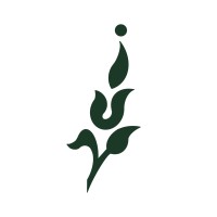 Ivy Herbals