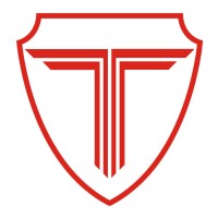 Techtree Technologies logo - Similar company to Neo Coderz Technologies
