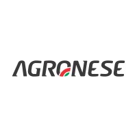 Agronese logo - Similar company to Silverio Multimarcas
