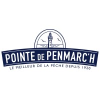 Pointe de Penmarc'h logo - Similar company to Arzhoptics