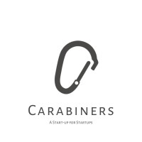 Carabiners International Pvt. Ltd. logo - Similar company to Gowow - The Social Service App