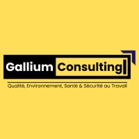 GALLIUM CONSULTING logo - Similar company to Eurl Elite Power