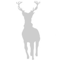 Silverlight Research Group For Recruiters 3 logo - Similar company to Topdevelopershub