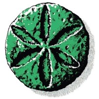 Unione Montana dei Comuni dell'Appennino Reggiano logo - Similar company to Icaro Mobility