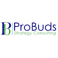 ProBuds Strategy Consulting logo - Similar company to Looptoop Media