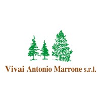VIVAI ANTONIO MARRONE S.R.L. logo - Similar company to Eurobuilding Spa