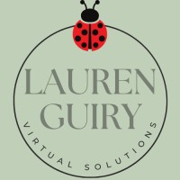 Ladybug Solutions logo - Similar company to Summitpath Bookkeeping Inc.
