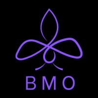 BMO - Brand, Marketing and Optimisation logo - Similar company to Evolve Technologies Group