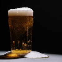 Postgraduate Program Malting and Brewing Sciences at KU Leuven logo - Similar company to Laboratory Of Food Chemistry And Biochemistry Ku Leuven