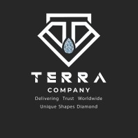 TERRA COMPANY HK logo - Similar company to Wgt Group
