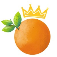 Oranjevereniging Tiel logo - Similar company to Sofv Nijmegen
