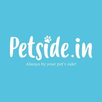 Petside.In logo - Similar company to Origin Pet Gear Manufactory