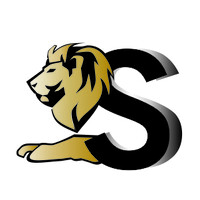 SOLUCIONES NISSI logo - Similar company to Tesla Solution Sac