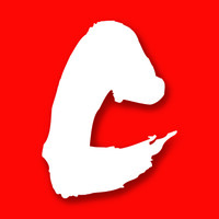The World of Chinese logo - Similar company to Visual Paradigm