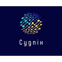 Cygnix logo - Similar company to Cygnix
