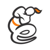 Egenie Next Solutions logo - Similar company to TechMeka