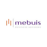 Mebuis Business Advisors logo - Similar company to Ervins Puksts Studio