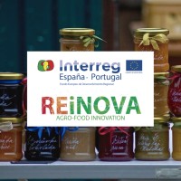 REiNOVA logo - Similar company to Reitech