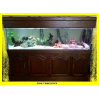 Fish Tank Boys (Pty) Ltd