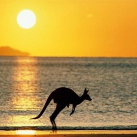 Flights To Australia logo - Similar company to The Tour Division