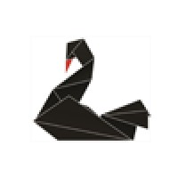 Black Swan Rational