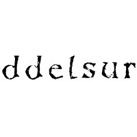 ddelsur llc logo - Similar company to Bernhard Deckert Ltd