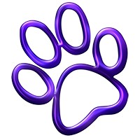 Pawsome Pets UAE logo - Similar company to Fly Jetpets